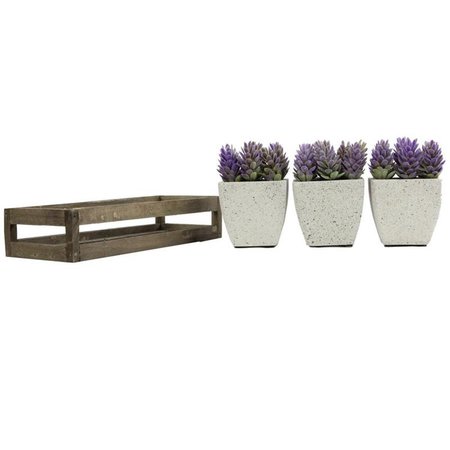 ADLMIRED BY NATURE Admired by Nature ABN5P021-PRPL Summer Succulents in Wooden Tray Purple - 3 Piece ABN5P021-PRPL